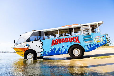 Aquaduck & Your Choice Of Gold Coast Rainforest Tour - SA Accommodation 3