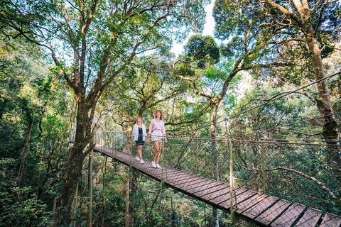 Aquaduck & Your Choice Of Gold Coast Rainforest Tour - SA Accommodation 4