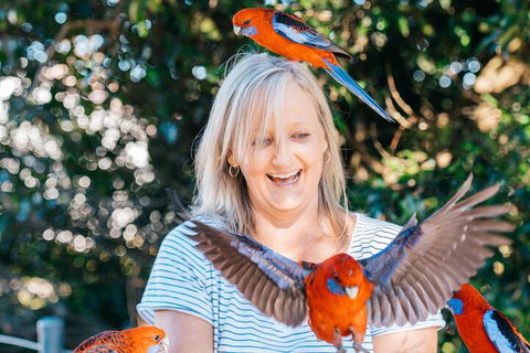 Aquaduck & Your Choice Of Gold Coast Rainforest Tour - SA Accommodation 5