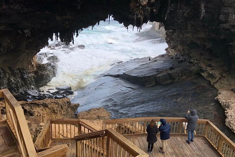 Kangaroo Island 4WD Tour - Best Of KI - SA Accommodation 1
