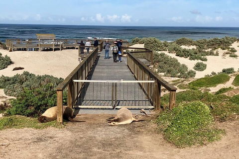 Kangaroo Island 4WD Tour - Best Of KI - SA Accommodation 2