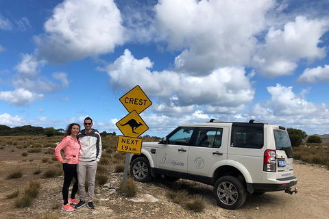 Kangaroo Island 4WD Tour - Best Of KI - SA Accommodation 5