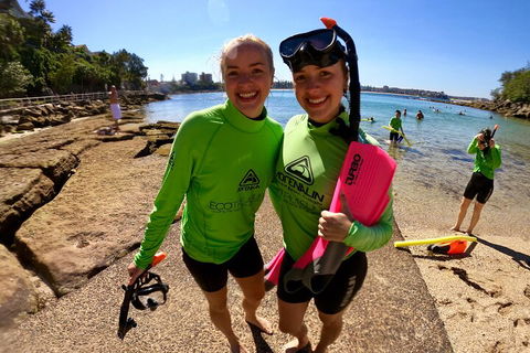 Manly Snorkel Trip And Nature Walk With Local Guide - SA Accommodation 1