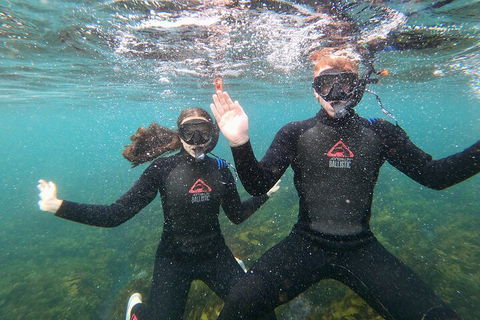 Manly Snorkel Trip And Nature Walk With Local Guide - SA Accommodation 3