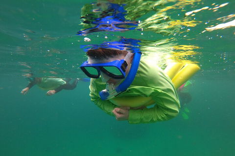 Manly Snorkel Trip And Nature Walk With Local Guide - SA Accommodation 5
