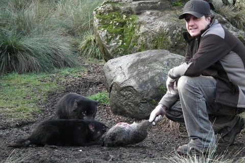 After Dark Tasmanian Devil Feeding Tour At Cradle Mountain - SA Accommodation 2