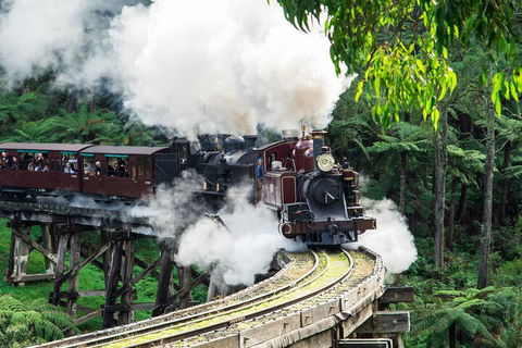 Puffing Billy And Healesville Sanctuary Scenic Tour - SA Accommodation 1
