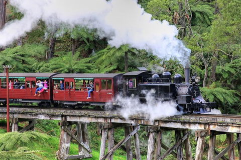 Puffing Billy And Healesville Sanctuary Scenic Tour - SA Accommodation 2