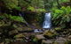 Mt Field And Styx Valley Photography Tour - thumb 3
