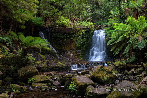Mt Field And Styx Valley Photography Tour - SA Accommodation 3