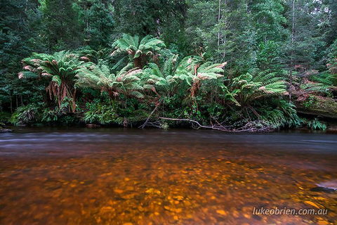 Mt Field And Styx Valley Photography Tour - SA Accommodation 4