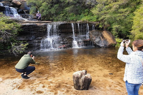 Blue Mountains Small Group Tour Enjoy A Sleep In, Waterfalls, Sunset & Dinner - SA Accommodation 2