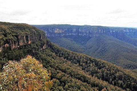 Blue Mountains - SA Accommodation 3