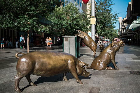 Guided Walking Tour In Adelaide - SA Accommodation 4