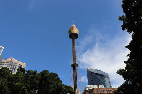 Private Sydney City Customized Tour - SA Accommodation 0