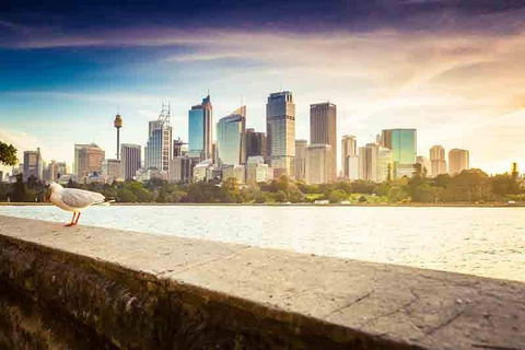 Private Sydney City And Bondi Beach Half Day Tour - SA Accommodation 2