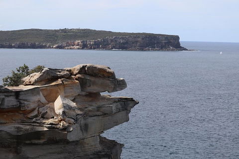 Private Sydney City And Bondi Beach Half Day Tour - SA Accommodation 3