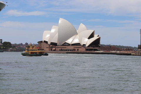 Private Sydney City And Bondi Beach Half Day Tour - SA Accommodation 5