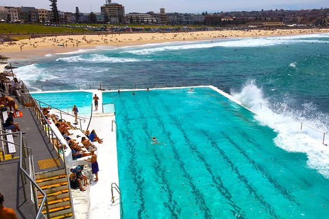 Private Sydney Half Day Tour Including Sydney Opera House And Bondi Beach - SA Accommodation 1
