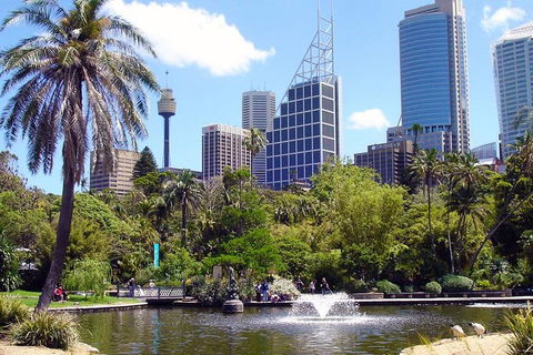 Private Sydney Half Day Tour Including Sydney Opera House And Bondi Beach - SA Accommodation 4