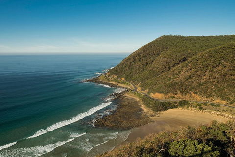 Great Ocean Road Adventure - Private Tour - Reverse - SA Accommodation 2