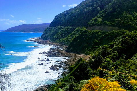 Great Ocean Road Adventure - Private Tour - Reverse - SA Accommodation 3