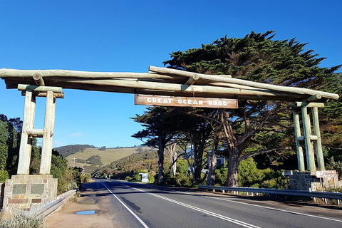 Great Ocean Road Adventure - Private Tour - Reverse - SA Accommodation 5