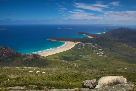 Wilson's Promontory & Phillip Island - 'Prom & Penguins' Tour - SA Accommodation 0