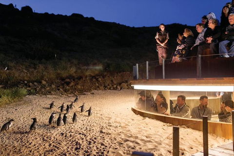Wilson's Promontory & Phillip Island - 'Prom & Penguins' Tour - SA Accommodation 3