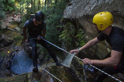 Blue Mountains Empress Canyon Adventure From Wentworth Falls - SA Accommodation 2