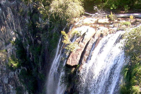 Byron Bay Combo: Hinterland Tour Including Minyon Falls And Kayaking With Dolphins - SA Accommodation 3