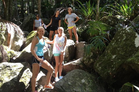 Byron Bay Combo: Hinterland Tour Including Minyon Falls And Kayaking With Dolphins - SA Accommodation 4
