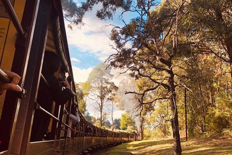 Private Yarra Valley And Puffing Billy Tour - SA Accommodation 1