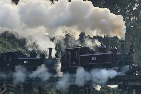 Private Yarra Valley And Puffing Billy Tour - SA Accommodation 3