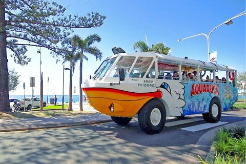 Aquaduck Sunshine Coast - SA Accommodation 1
