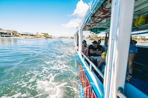 Aquaduck Sunshine Coast - SA Accommodation 5