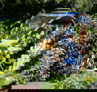 Adelaide 90-Minute Pedicab Tour Scenic Green  River Experience - SA Accommodation
