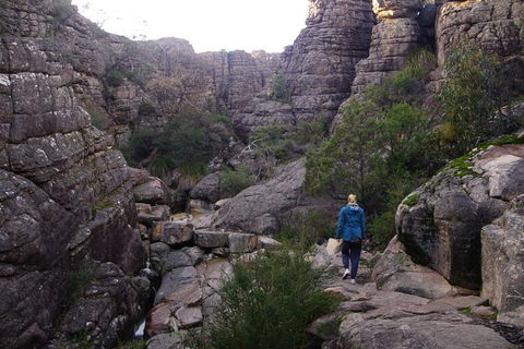 Private Grampians Day Tour - SA Accommodation 3
