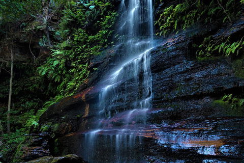 Blue Mountains Off The Beaten Track 4WD Day Adventure - SA Accommodation 4
