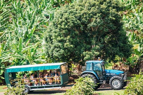 Tropical Fruit World With Wildlife Boat Cruise From Gold Coast - SA Accommodation 1