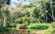 Tropical Fruit World With Wildlife Boat Cruise From Gold Coast - thumb 3