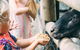 Tropical Fruit World With Wildlife Boat Cruise From Gold Coast - thumb 5