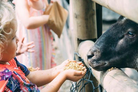 Tropical Fruit World With Wildlife Boat Cruise From Gold Coast - SA Accommodation 5
