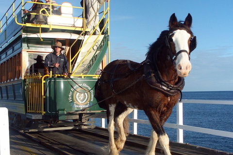 Full-Day Tour In South Australia Highlights - SA Accommodation 1