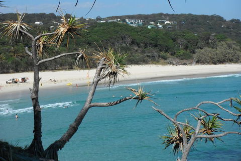 Stradbroke Island 4WD Day Trip From Brisbane - SA Accommodation 5