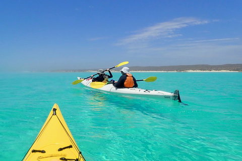 Lagoon Explorer - Ningaloo Reef Full-Day Kayaking And Snorkeling Adventure - SA Accommodation 0