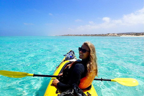 Lagoon Explorer - Ningaloo Reef Full-Day Kayaking And Snorkeling Adventure - SA Accommodation 1