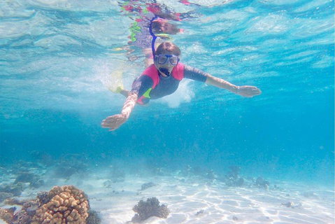 Lagoon Explorer - Ningaloo Reef Full-Day Kayaking And Snorkeling Adventure - SA Accommodation 5
