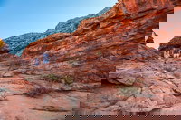 Kings Canyon Guided Rim Walk