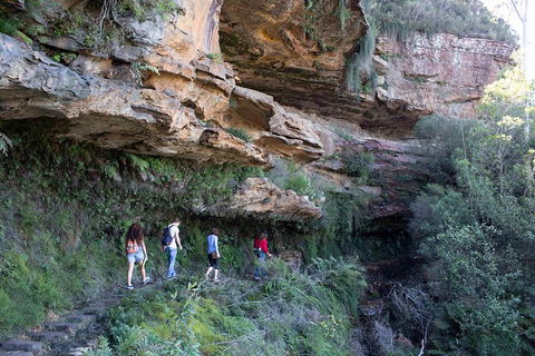 Blue Mountains Nature And Wildlife Day Tour From Sydney - SA Accommodation 2